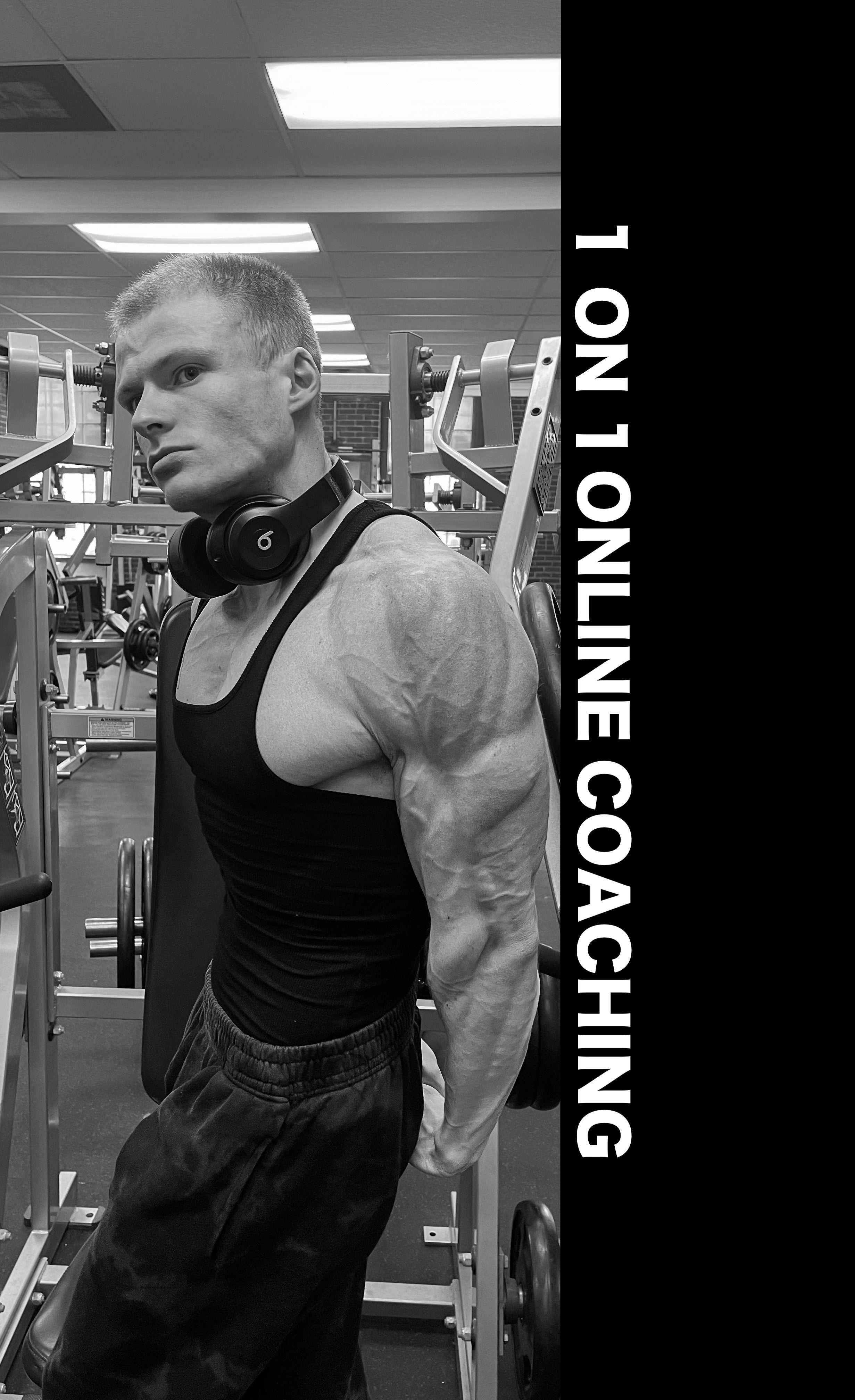 1 On 1 Online Coaching Train With Egan 1-on-1-online-coaching-train-with-egan